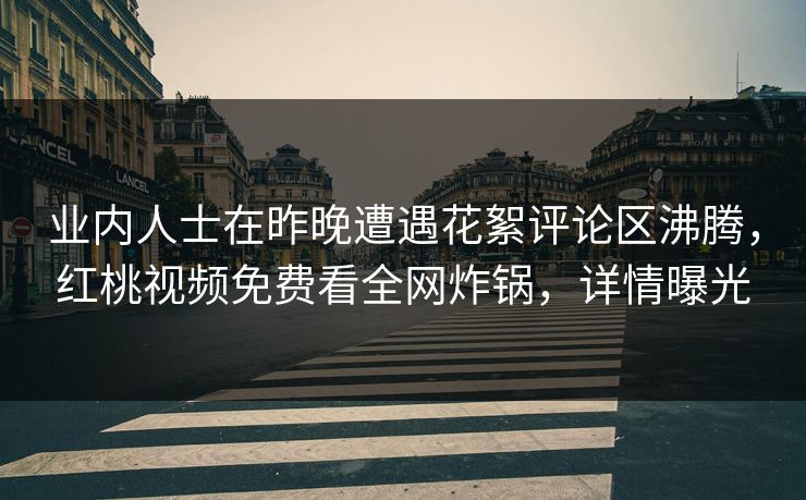 业内人士在昨晚遭遇花絮评论区沸腾，红桃视频免费看全网炸锅，详情曝光