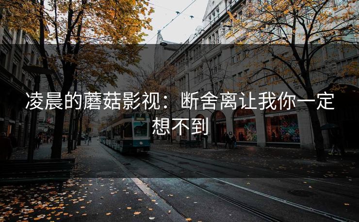 凌晨的蘑菇影视：断舍离让我你一定想不到